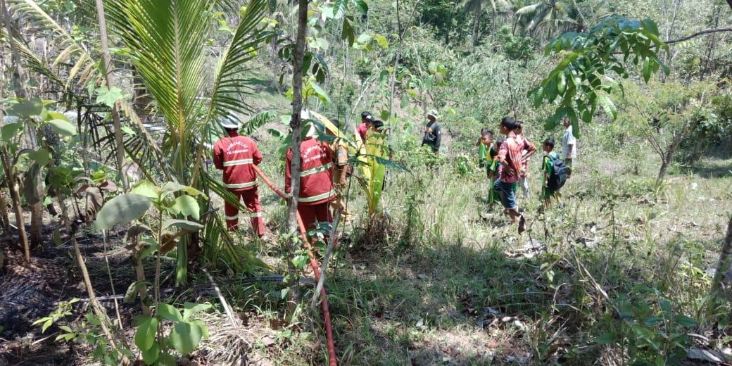Kebakaran Lahan, Damkar Pangandaran Terjun Langsung Padamkan Api