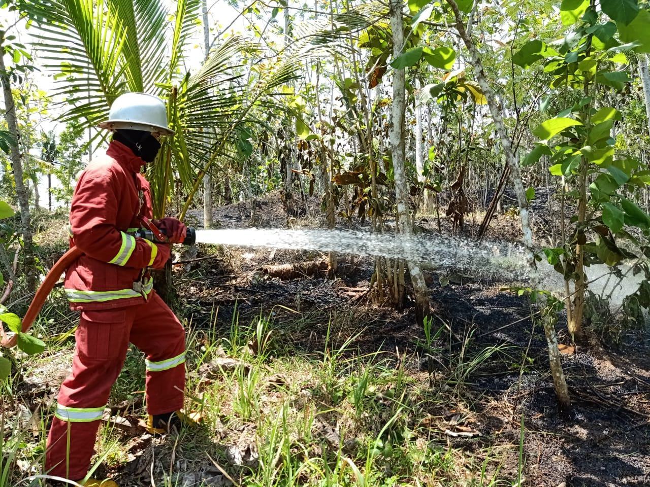 Kebakaran Lahan, Damkar Pangandaran Terjun Langsung Padamkan Api