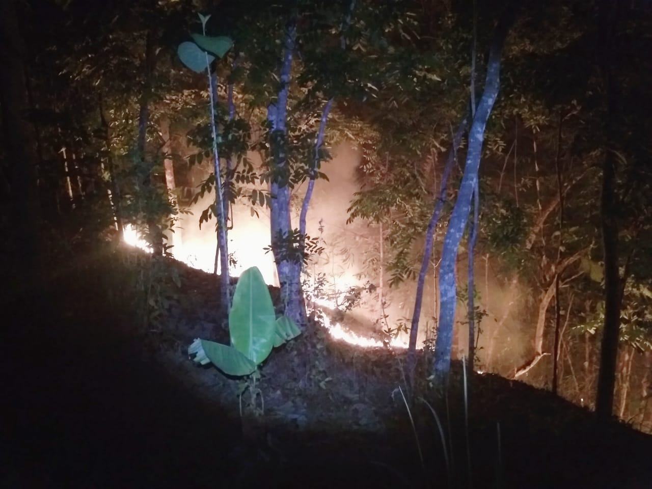 Kebakaran Banjar, 5 Hektare Lahan Milik Warga Dilalap Si Jago Merah