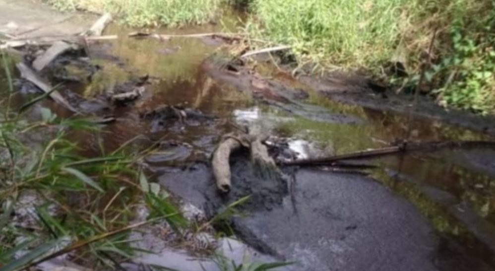 Limbah PMKS ISJ dan PT CSR, Cemari Sungai Kalundang dan Barumun