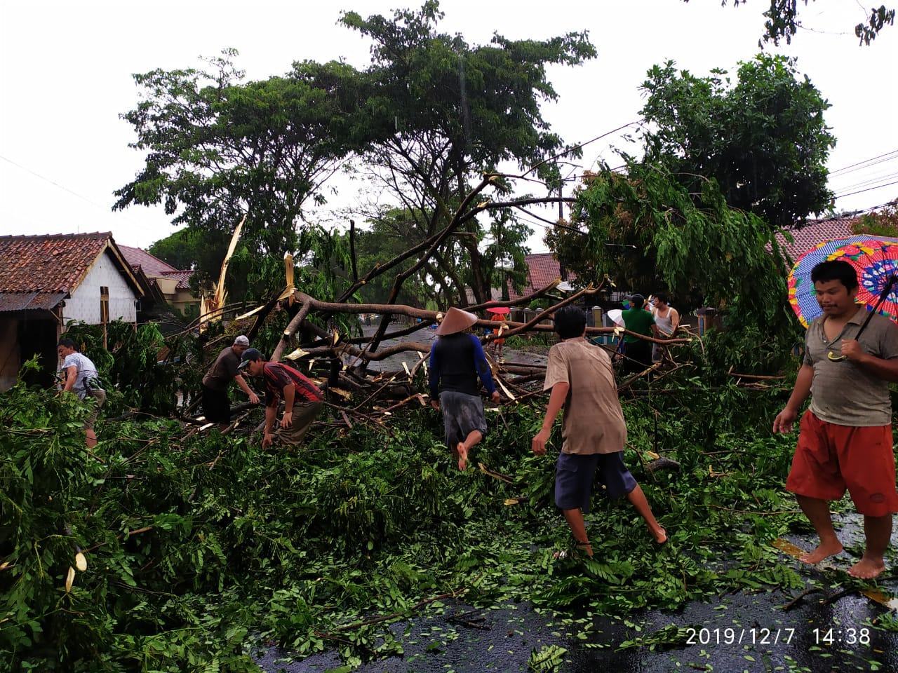 Hujan di Ciamis, Kabel PLN Ditimpa Pohon