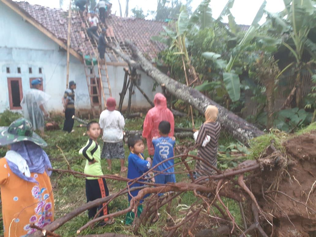Hujan di Ciamis, Kabel PLN Ditimpa Pohon