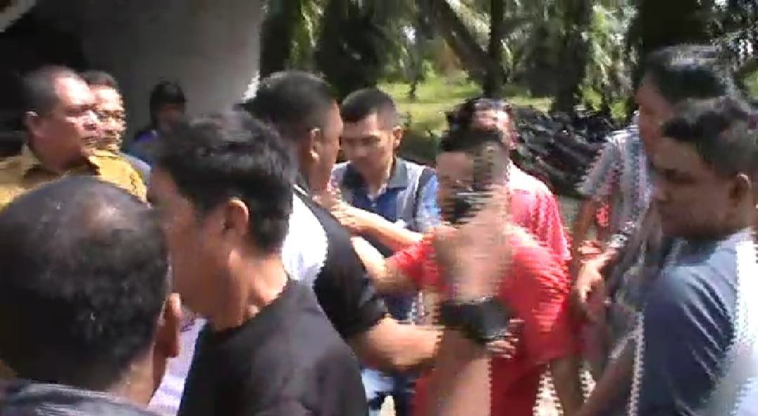 Ternak Babi Tandam, HMI DS: Aparat Lebih Takut Pemilik Ternak atau Warga