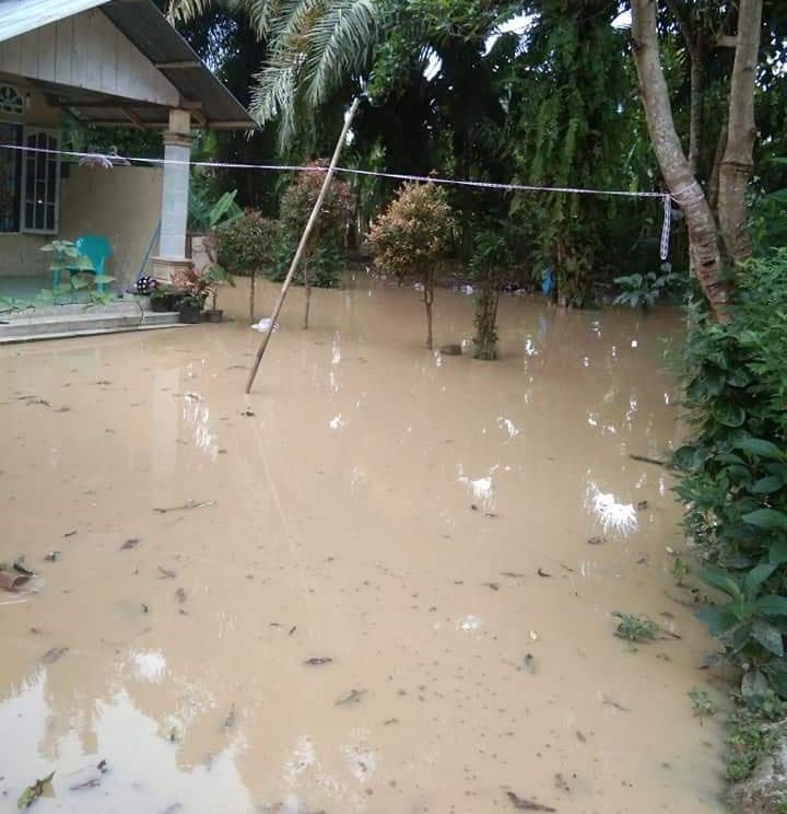Sungai Wampu Meluap, Kandang Kambing dan Rumah Warga Tergenang Air