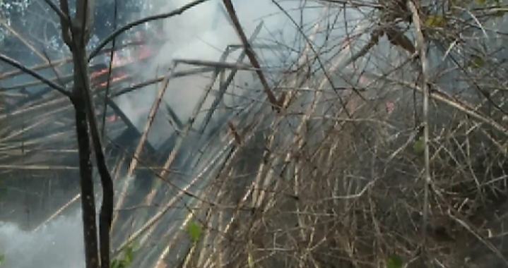 Lahan Bambu PT APL Terbakar, Diduga Api Berasal Pembakaran Kayu
