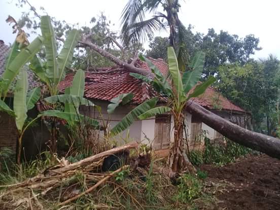 Hujan di Ciamis, Rumah Warga Tertimpa Pohon Pete