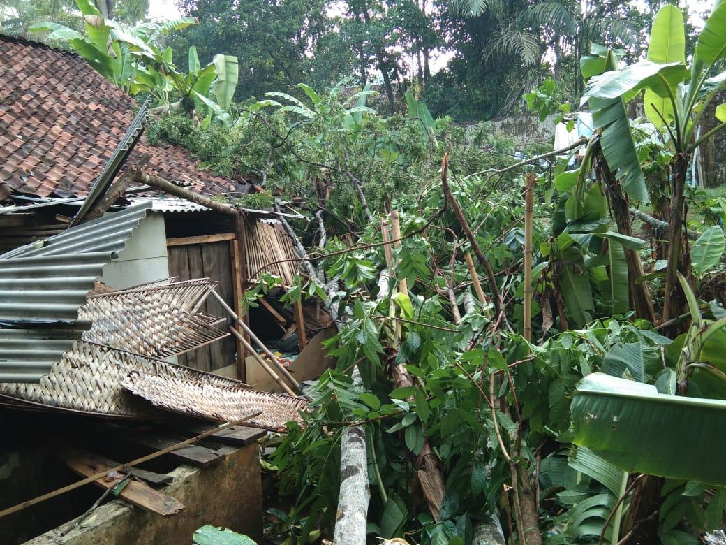 Hujan Deras dan Angin Kencang di Ciamis, Rumah Warga Ambruk Tertimpa Pohon