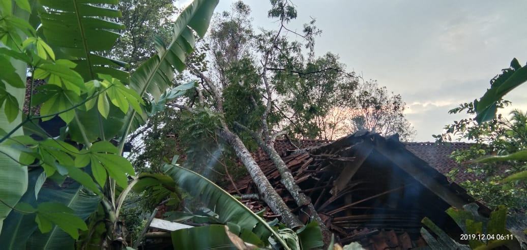 Hujan di Ciamis, Tagana Potong Pohon Tumbang
