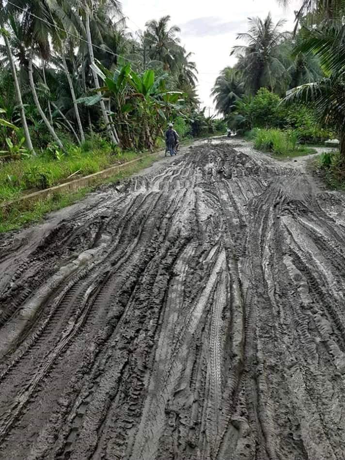 Jalan Tanjung Pura, Kubangan Kerbau Pindah Ditengah Jalan