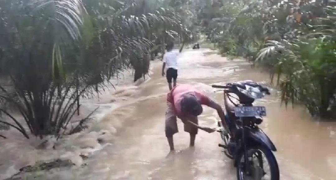 Sungai Wampu Langkat Meluap, Warga Cuci Motor di Bawah Pohon Sawit