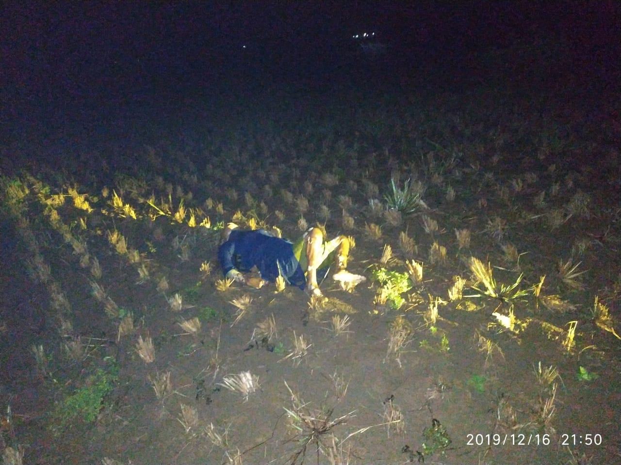 Mayat di Ciamis, Diduga Sudah Tiga Hari Meninggal