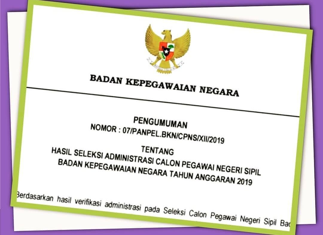 CPNS 2019, Berikut 43 Pemerintah Daerah Umumkan Seleksi Administrasi 