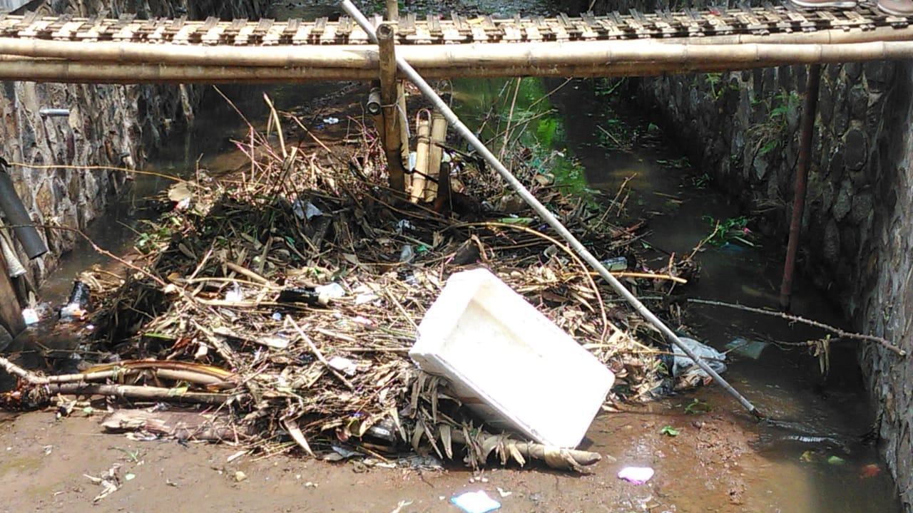 Komunitas Citanduy Lestari, Peduli Sungai Ciroas