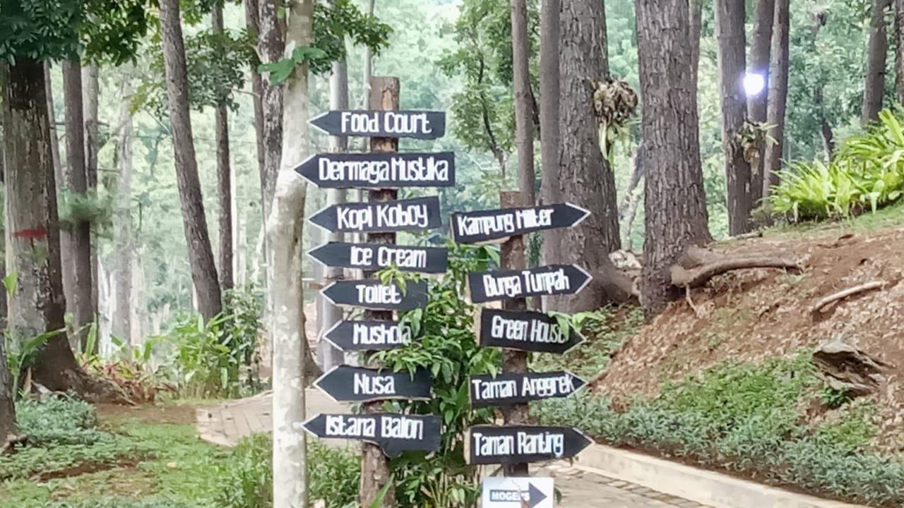 Libur Natal dan Tahun Baru, Wana Wisata Situ Mustika Targetkan 5.000 Wisatawan