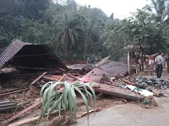 Gema Labura, Minta Kepolisian Menindak Tegas Pelaku Illegal Logging