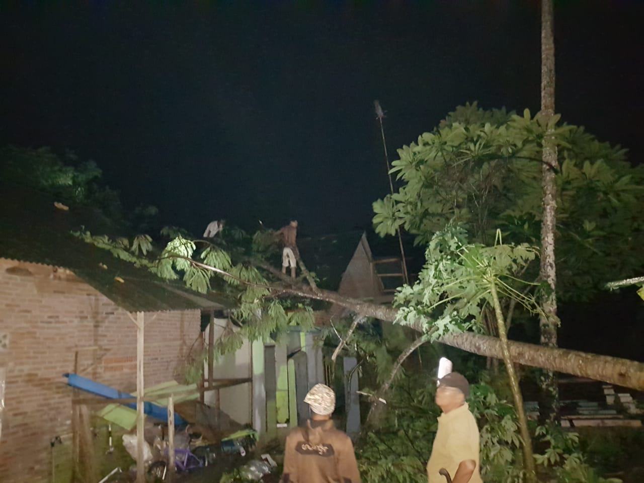 Hujan di Ciamis, Pohon Tumbang