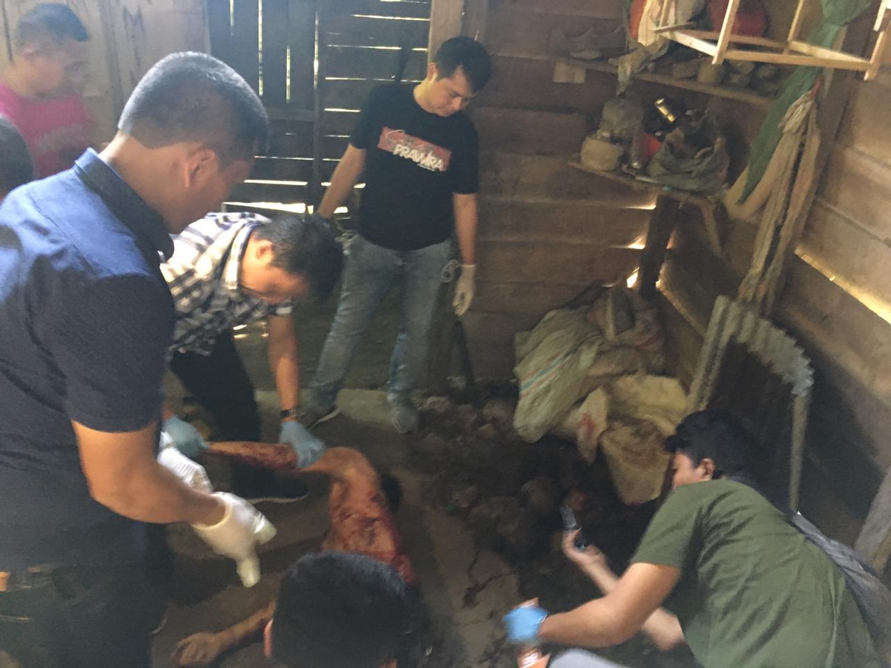 Pembunuhan di Nias, Pulang dari Gereja Anak Korban Temukan Orangtua Tewas