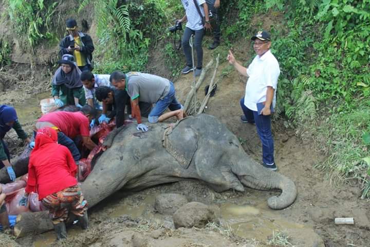 Si 'Neneng' Mati di Usia 55 Tahun, Akhyar Berduka