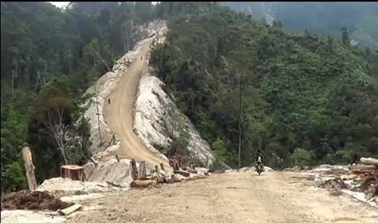 Gema Labura, Berharap Gubsu dan Polri Tidak Melindungi Pelaku Illegal Logging