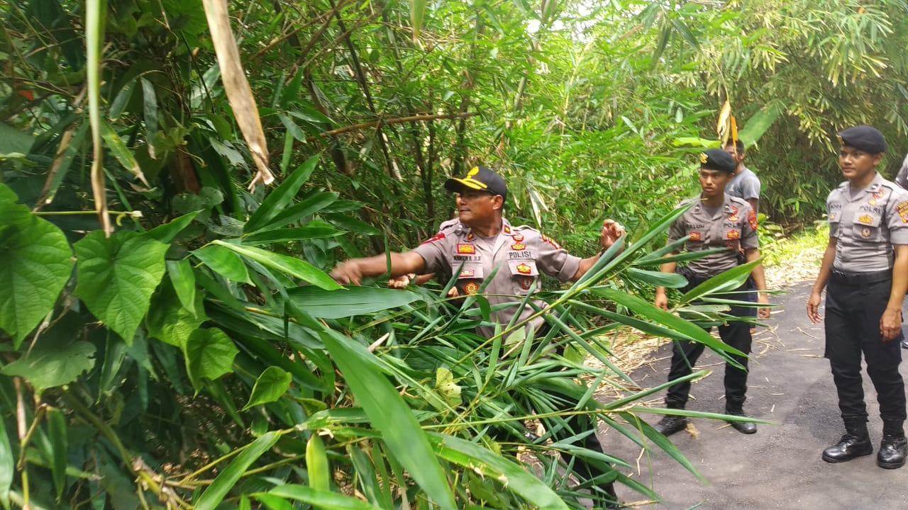 Polres Banjar, Lakukan Pembersihan dan Pemotongan Pohon yang Menghalangi Jalan