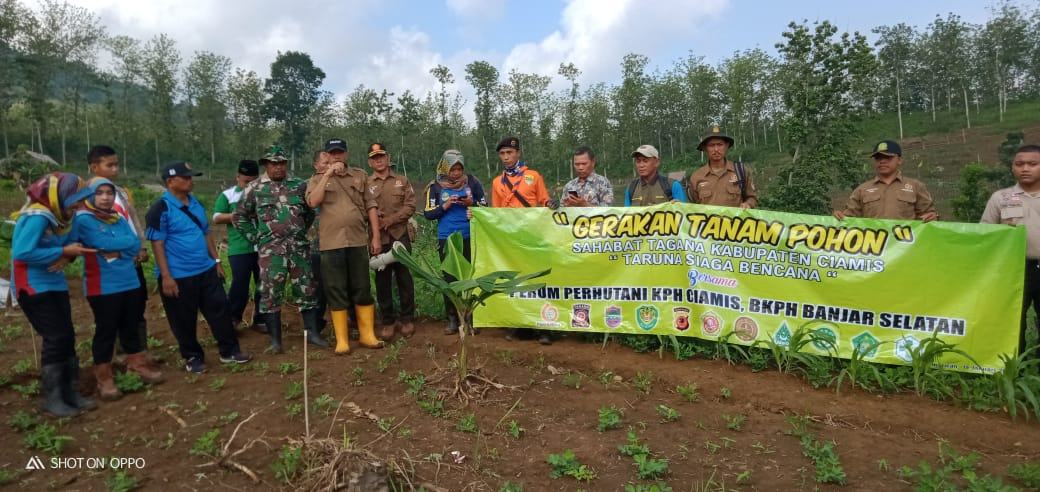 Tagana Ciamis, Bersama PP KPH Ciamis dan BKPH Banjar Selatan Lakukan Gerakan Tanam Pohon