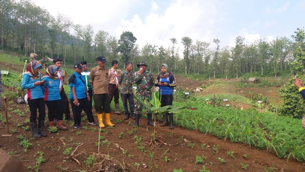 Koramil 1316/Pamarican, Lakukan Kegiatan Gerakan Tanam Pohon