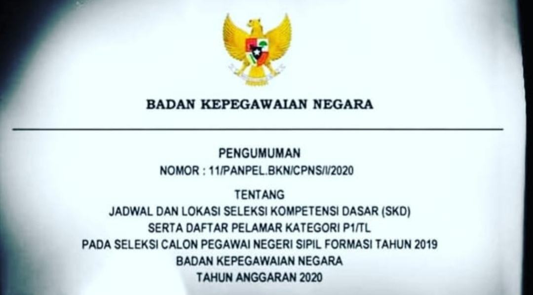 CPNS 2019, Berikut Jadwal dan Lokasi SKD