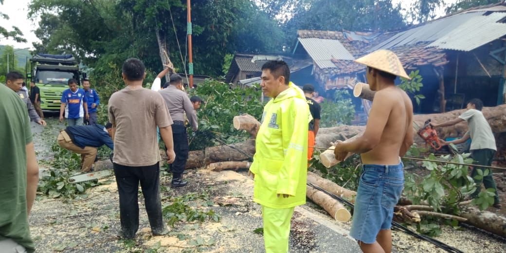 Hujan dan Angin Kencang di Banjar, 2 Rumah Warga Tertimpa Pohon