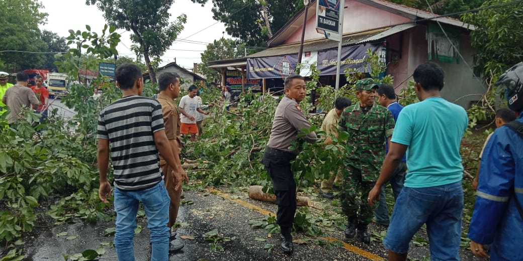 Hujan dan Angin Kencang di Banjar, 2 Rumah Warga Tertimpa Pohon