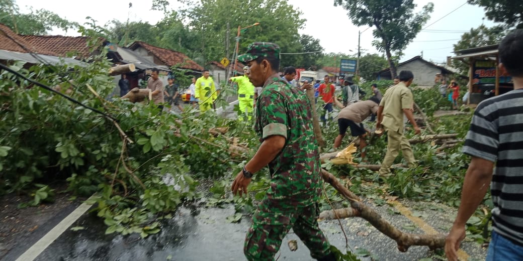 Hujan dan Angin Kencang di Banjar, 2 Rumah Warga Tertimpa Pohon