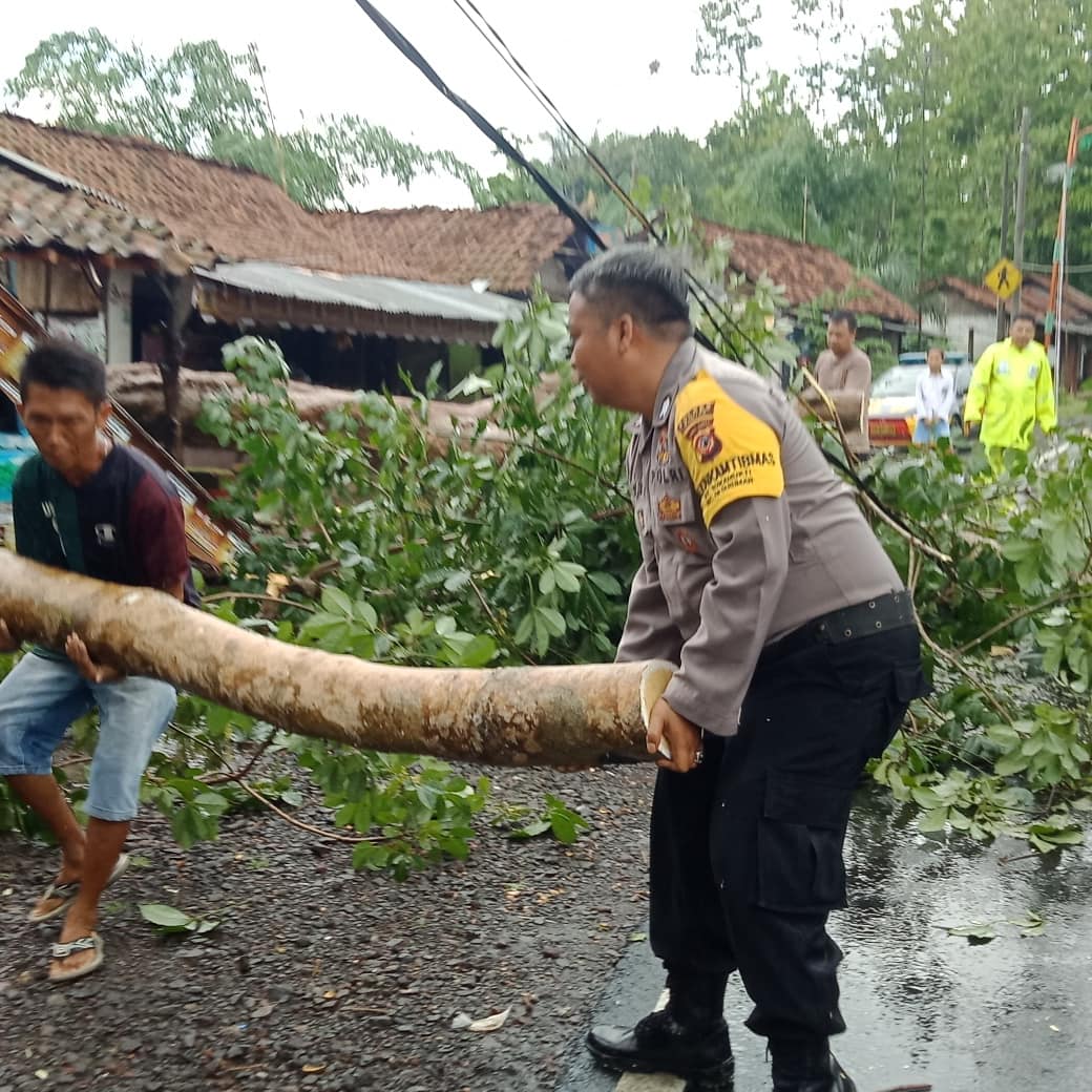 Hujan dan Angin Kencang Banjar, Polsek Pataruman Bersama Relawan Evakuasi Pohon Tumbang