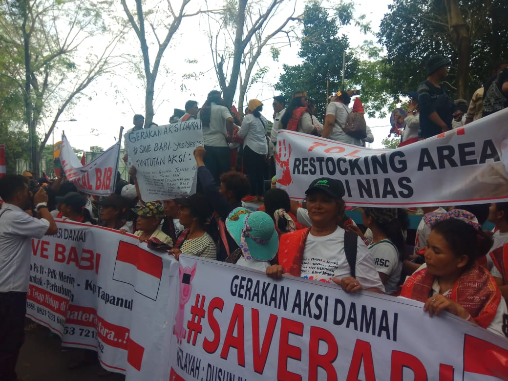 Tolak Wacana Pemusnahan, Tetapkan 10 Februari Sebagai Hari Kedaulatan Babi