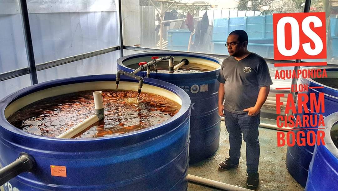 HKTI Langkat, Mendukung Aquaponica Ramah Lingkungan