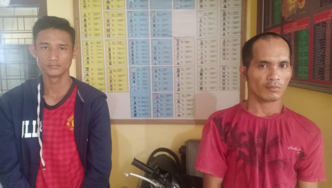 Polsek Bandar Pulau, Amankan 2 Pelaku Pencuri Lembu dan 6 Pelaku Masih Dikejar