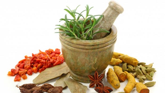 Apa Saja Tanaman Herbal yang Dapat Mencegah Covid-19?