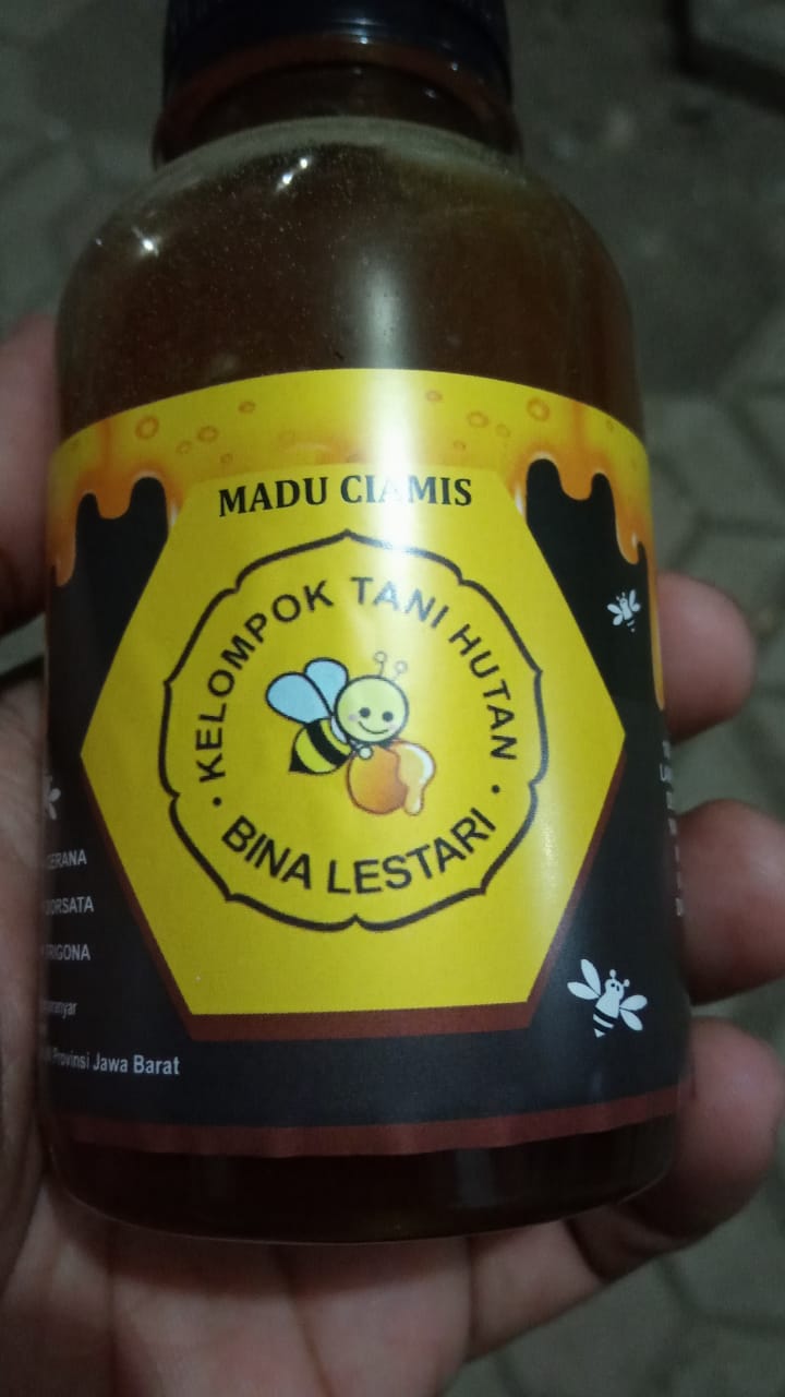 KTH Bina Lestari, Kembangkan Ternak Madu Lebah Ditengah Pandemi Corona