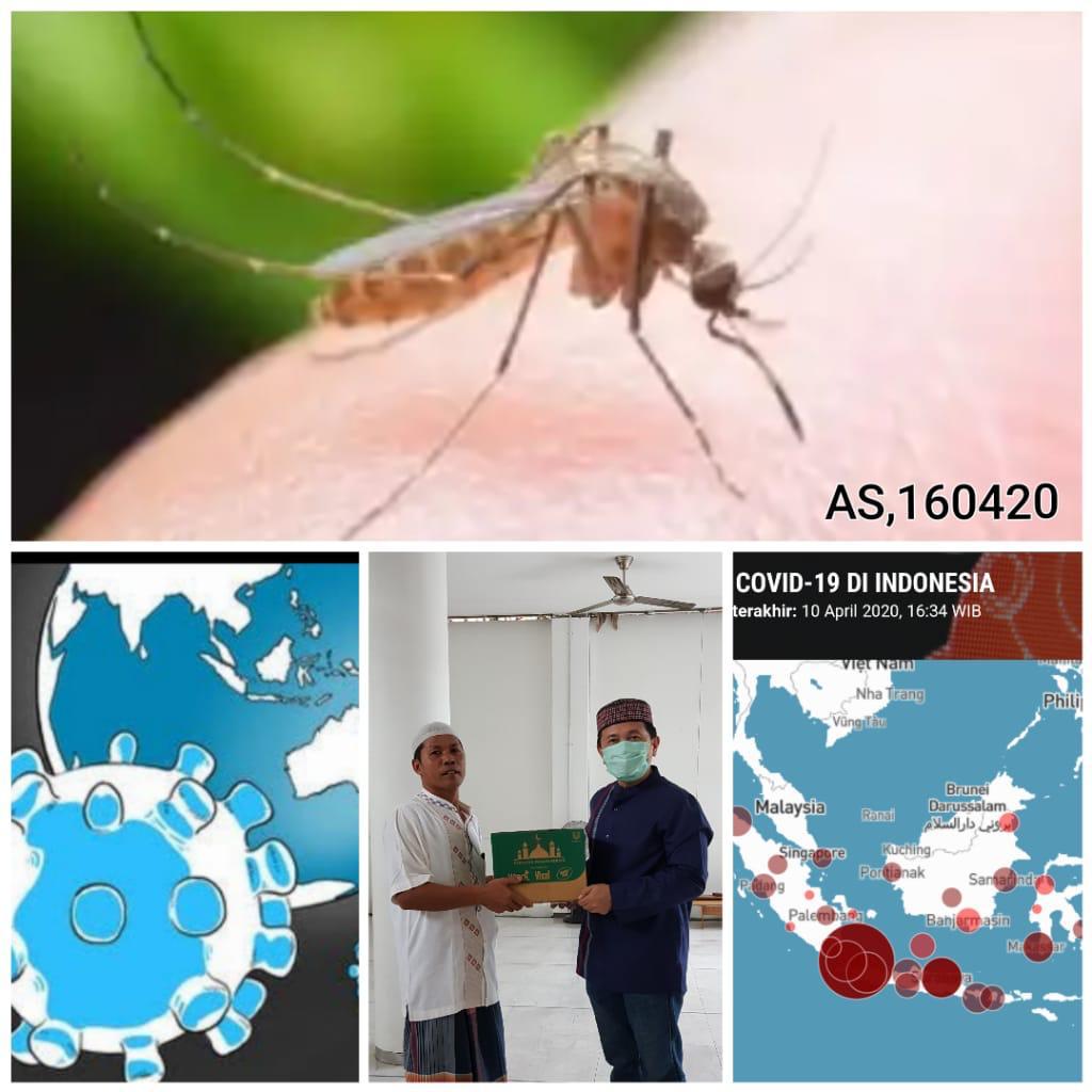Membaca Pesan Virus Covid-19 dan Virus DBD