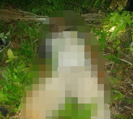 Warga STM Hilir Tewas, Ditemukan Tewas di Kebun Sawit
