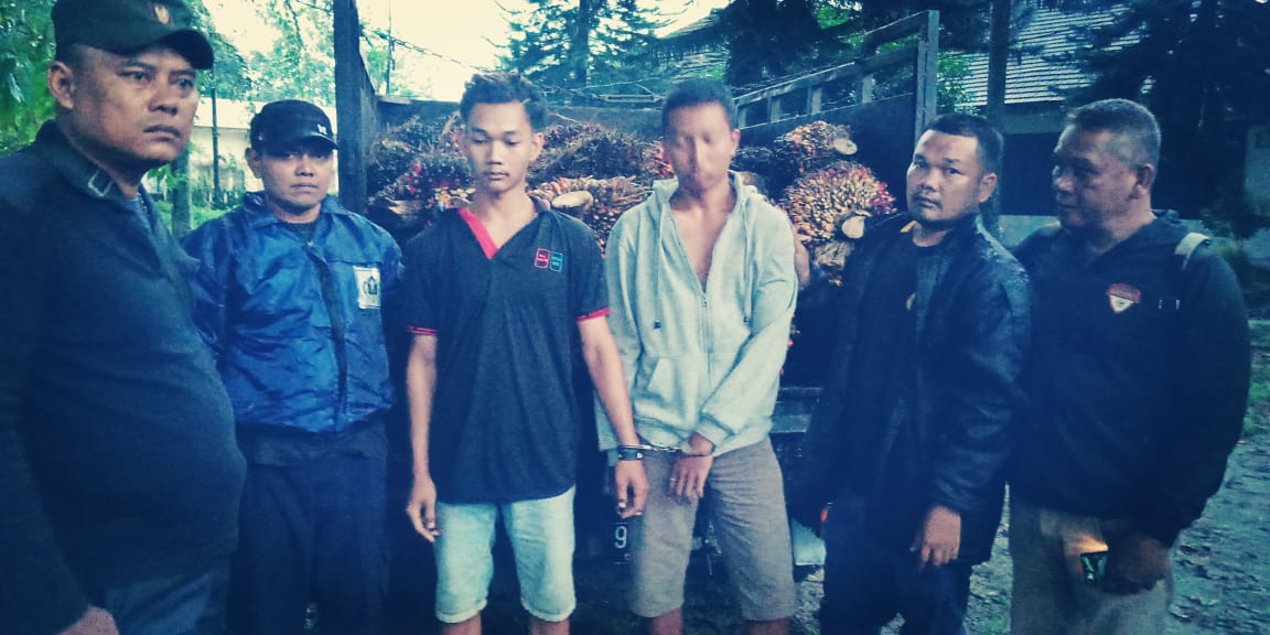 Tim Kemanan PTPN III Kebun Dusun Hulu Gagalkan Pencurian 1 Mobil Pick Up TBS Kelapa Sawit