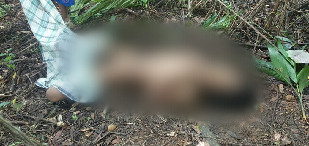 Penemuan Mayat Mr X di Tanjung Morawa, Sudah Dikerumuni Lalat