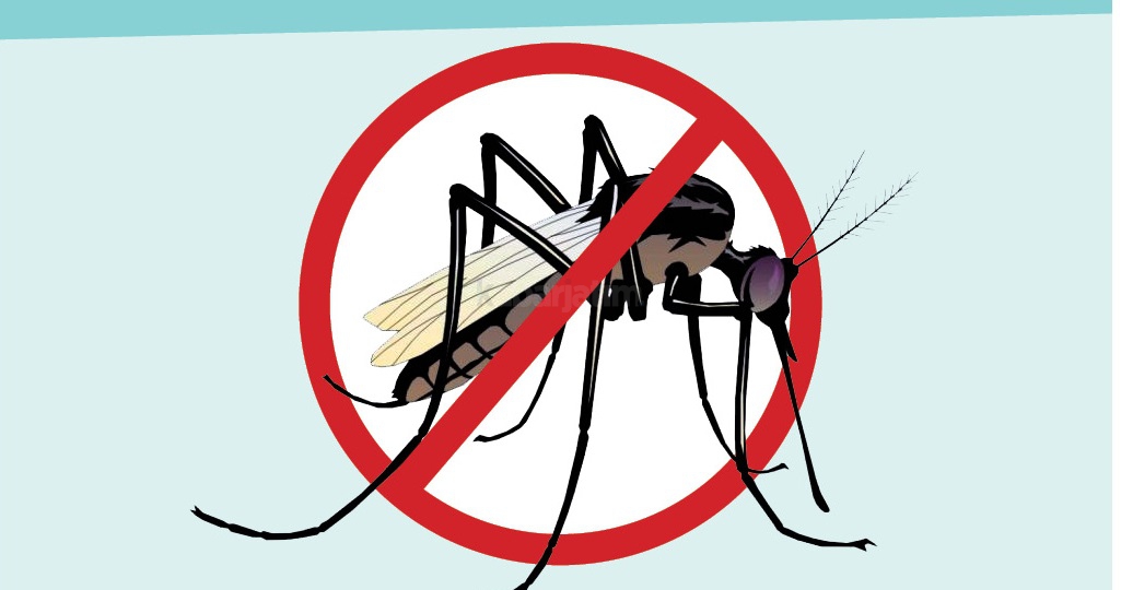 Membaca Pesan Virus Covid-19 dan Virus DBD