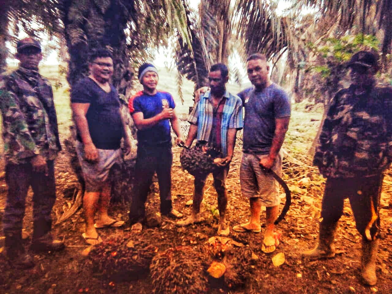 Team Keamanan PTPN III Dusun Hulu, Tangkap Pelaku Pencurian TBS