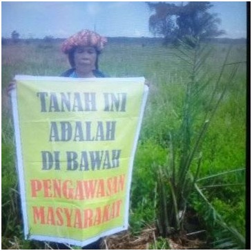Lahan Pertanian Digarap di Labura, Roslita Br Lumban Gaol Melapor