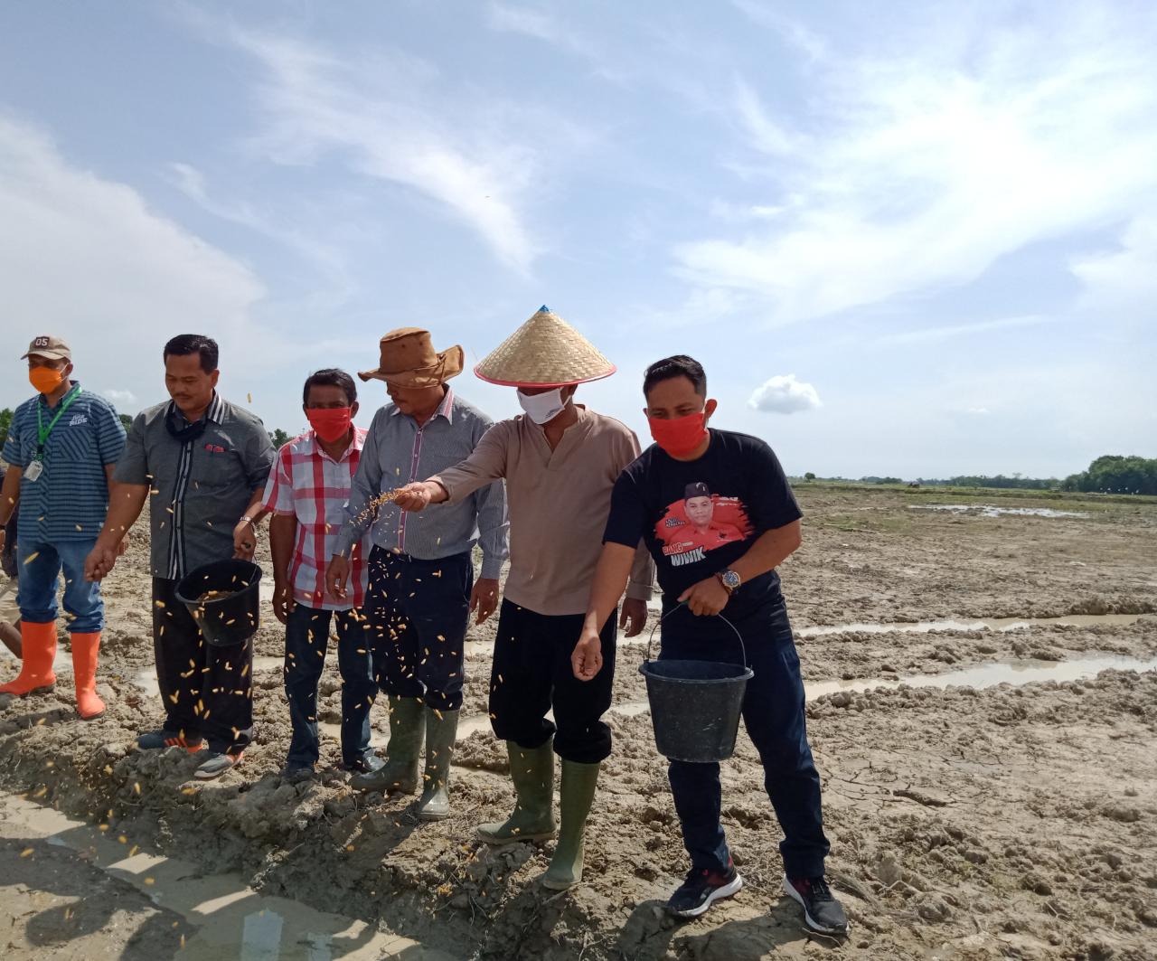 Peringati Bulan Kelahiran Bung Karno, DPC PDI Perjuangan Pelopor Serdang Bedagai BERDIKARI