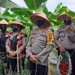 Kapolres Binjai, Panen Cabai Merah Guna Dukung Ketahanan Pangan