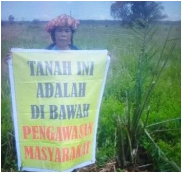 Pelaku Akui Perbuatannya Merusak Tanaman Kebun Roslita Br Lumbangaol