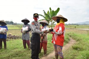 Kapolres Banjar, Sambangi Petani dan Berikan Bansos