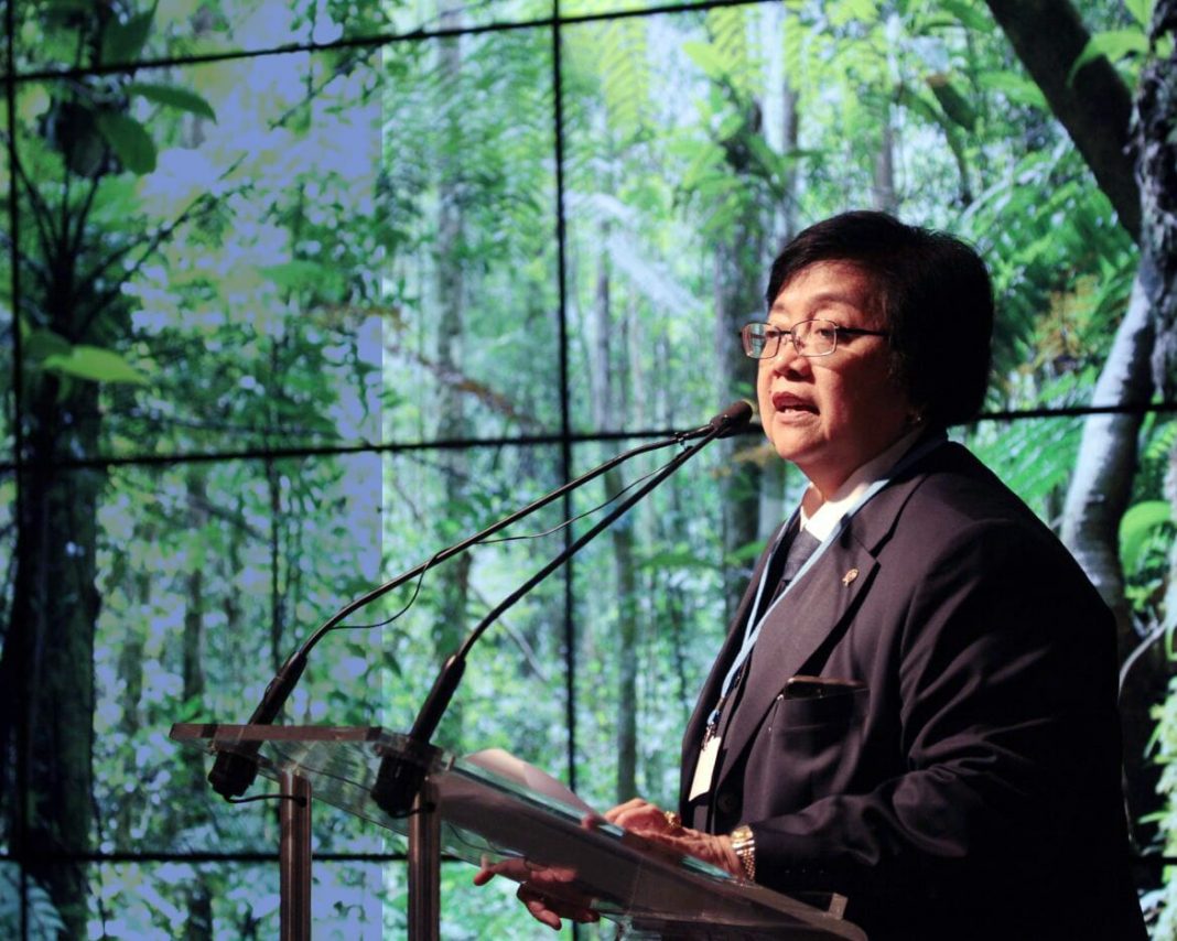 Deforestasi di Indonesia Menyurut Tajam, Ini Kata Menteri LHK