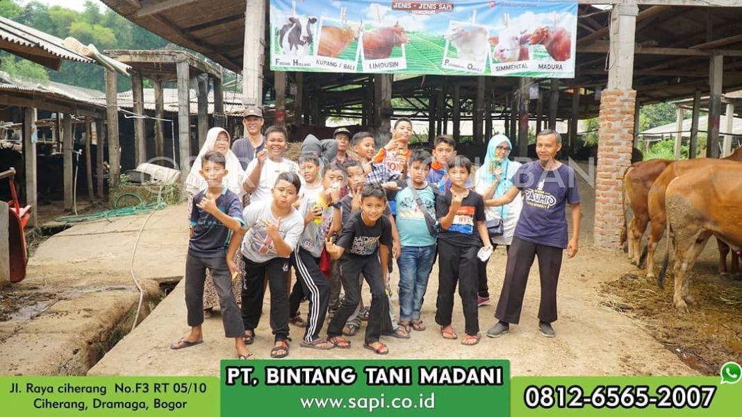 Menginspirasi, 28 Bocah Ini Patungan Beli 4 Ekor Sapi untuk Kurban