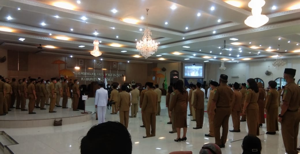 Bupati Langkat, Diduga JG Langgar PP No 11 Tahun 2017